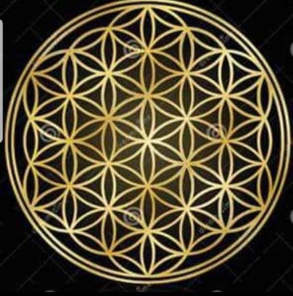 Meet your Posher, Daniela - Picture 1 of 1